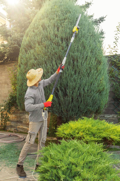 Best Leaf Removal  in Pearl River, MS